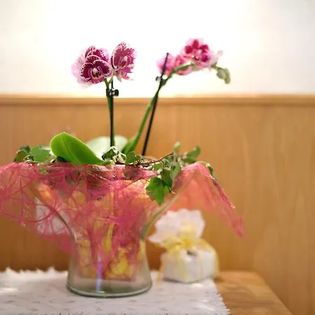 Haus Renate Kartitsch